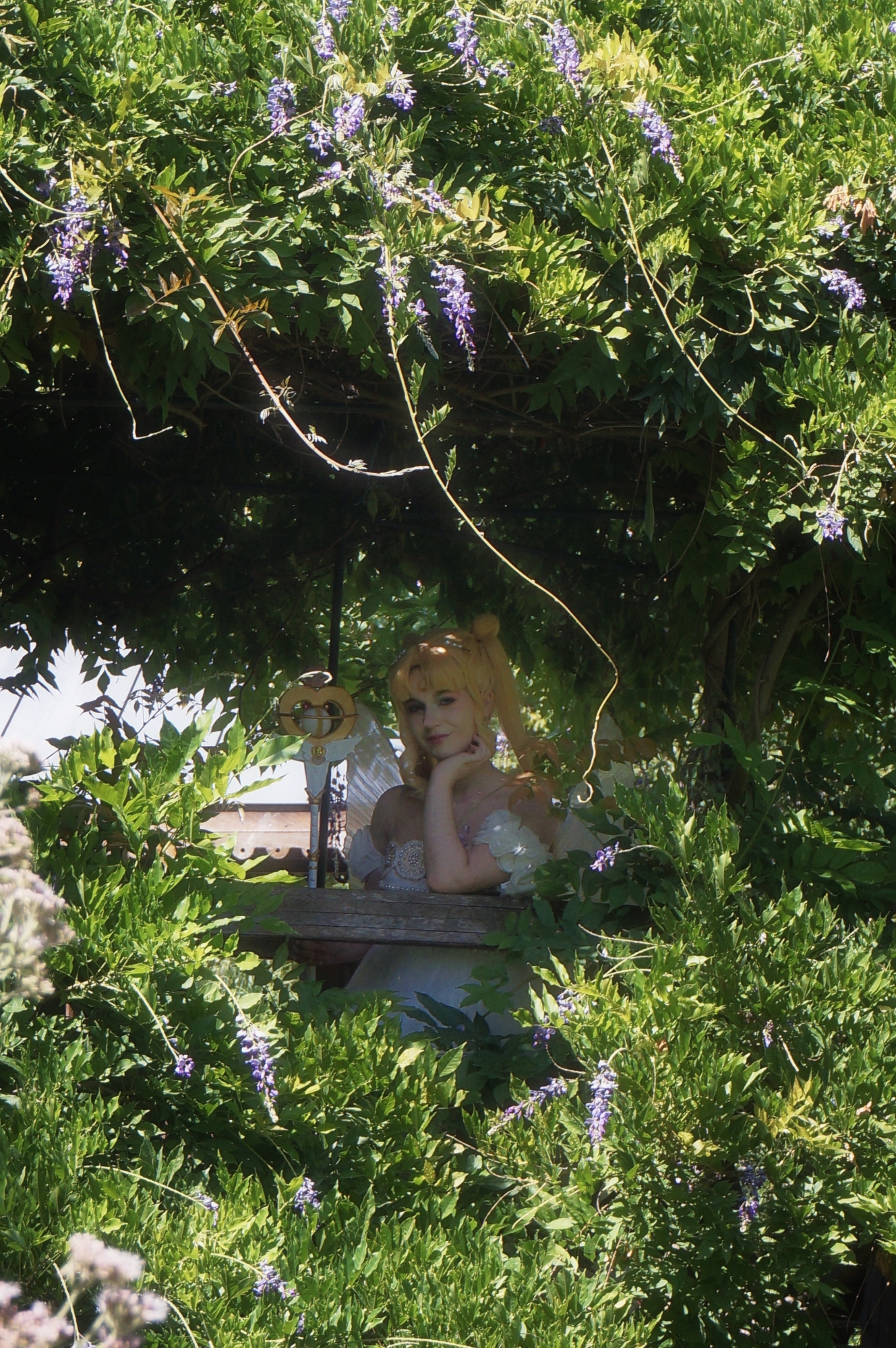 Princesse Serenity — photo 5