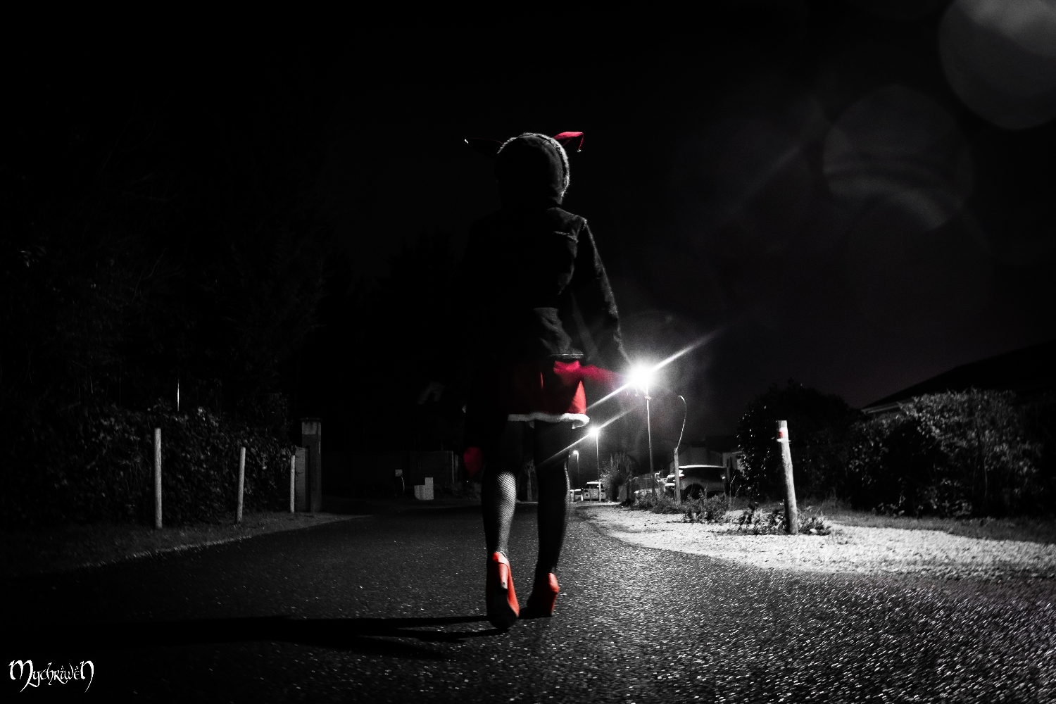 Nuit Décembre 2024 - Photo 5