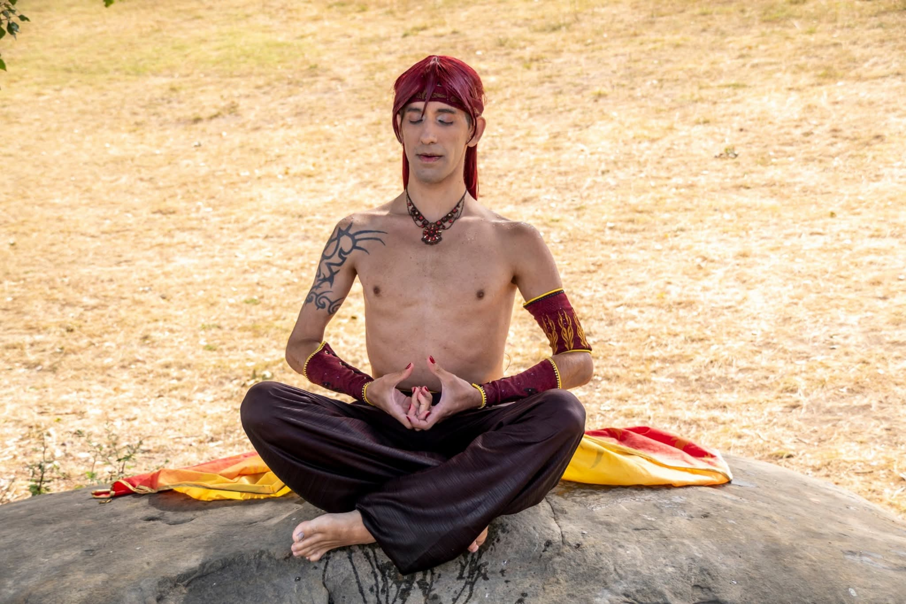 Fire spirit, photo 13