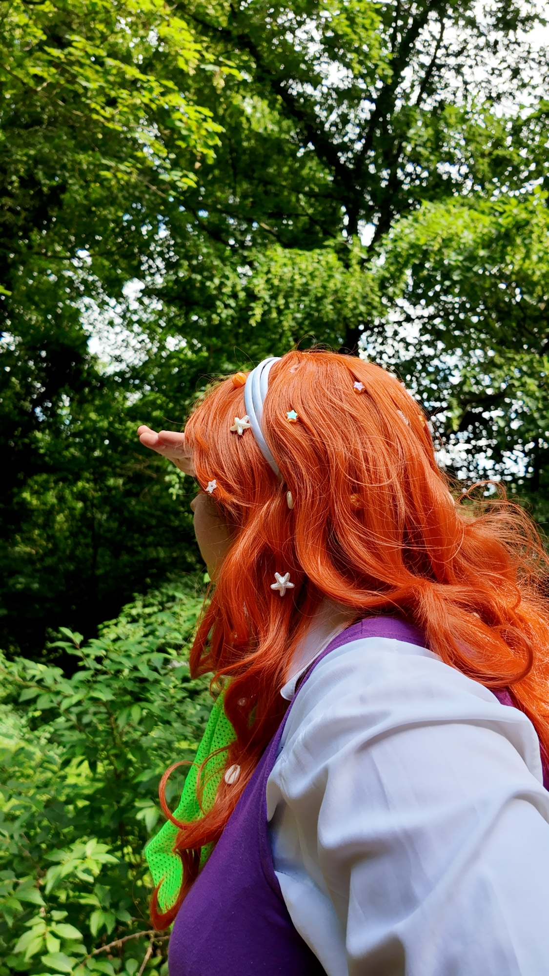Daphne placard — photo 7