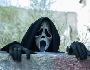 Ghostface preview 3