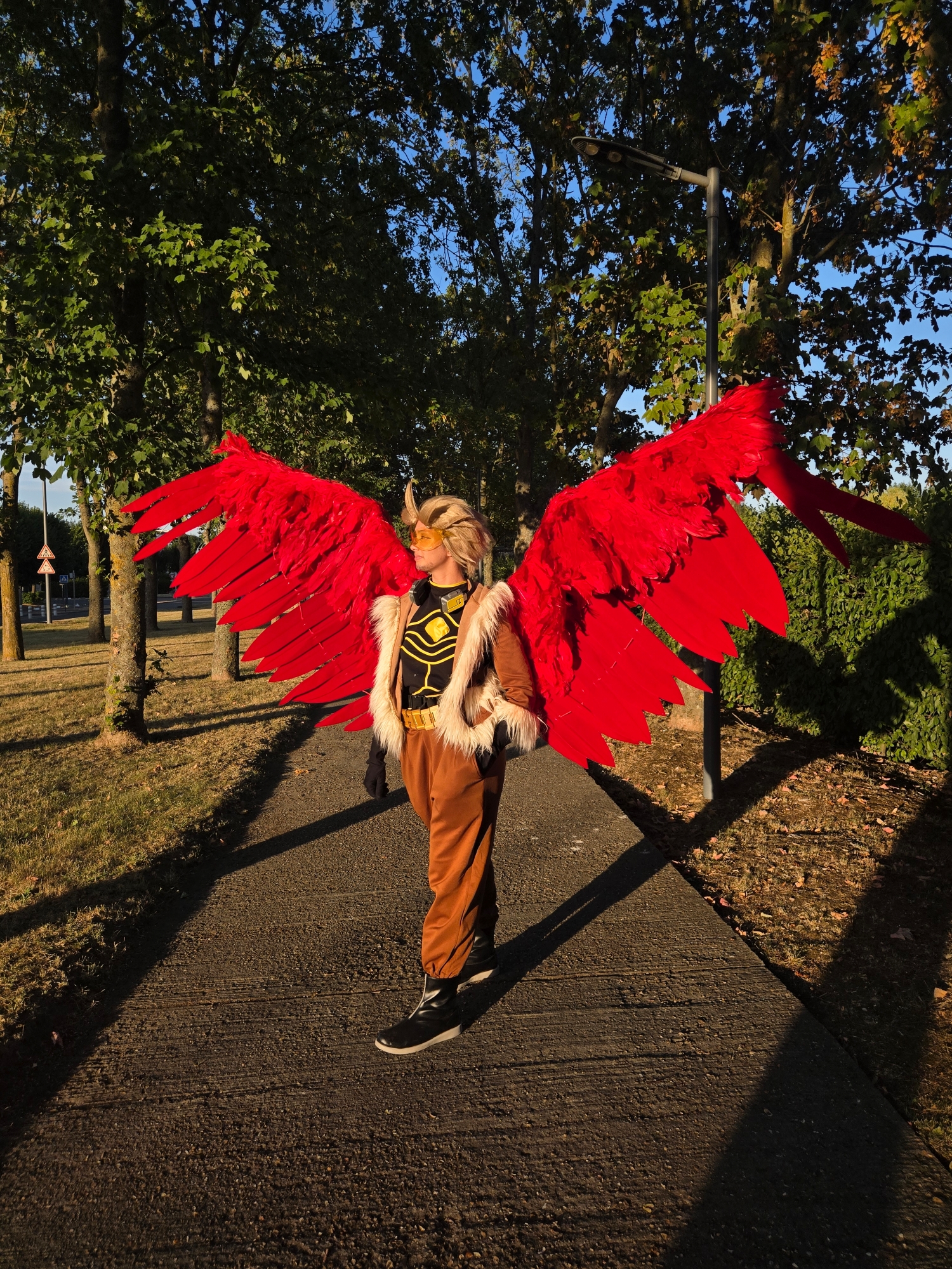 Hawks — photo 87