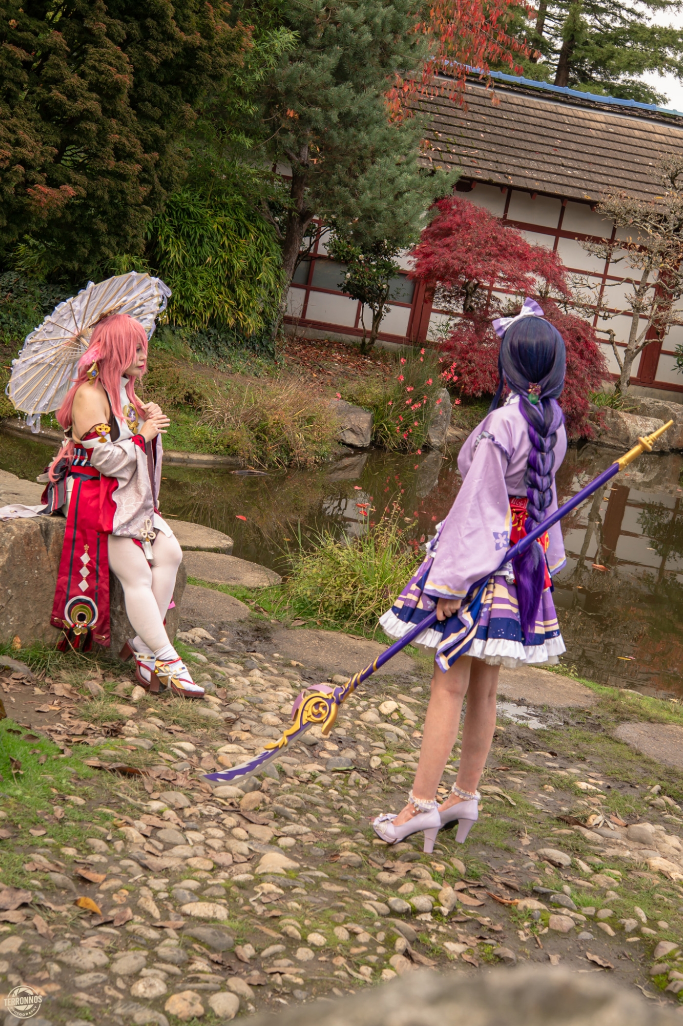 Raiden Shogun - Photo 4