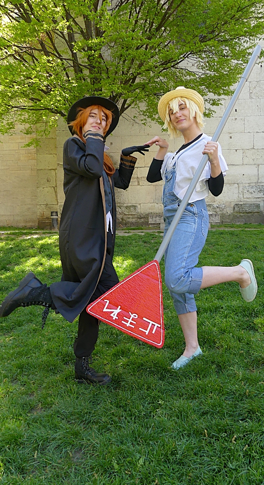 Bungo stray dogs — photo 11