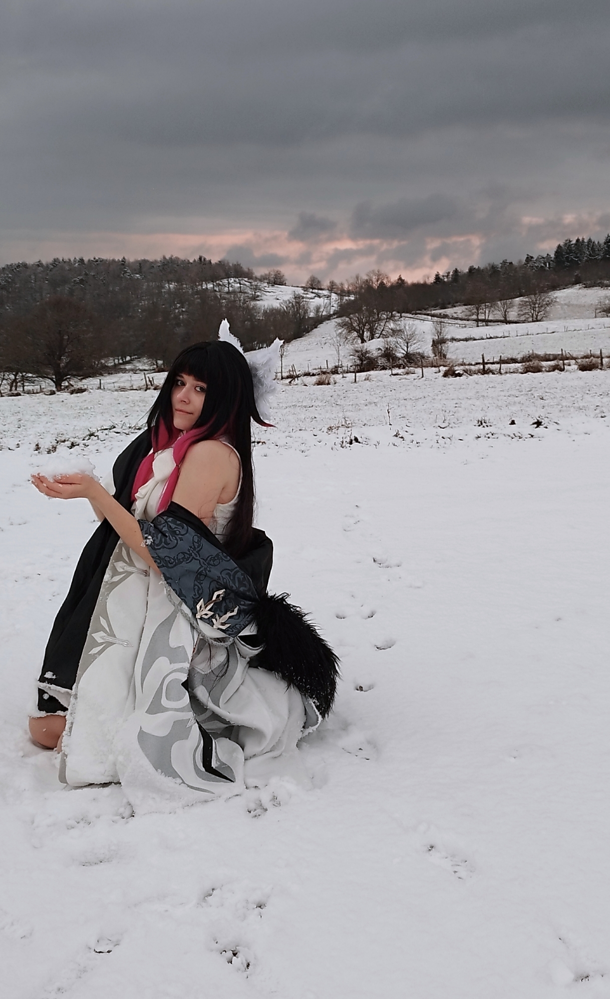 Columbina  - Photo 9