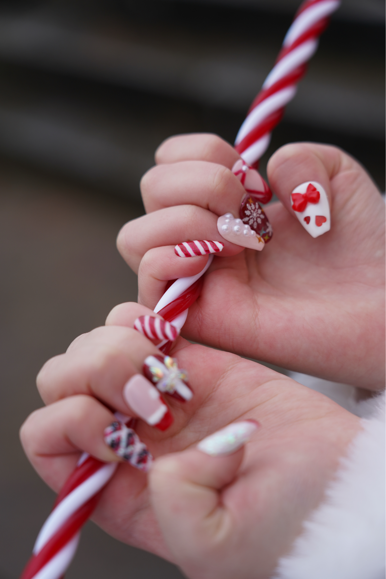 Marin Christmas  - Photo 7