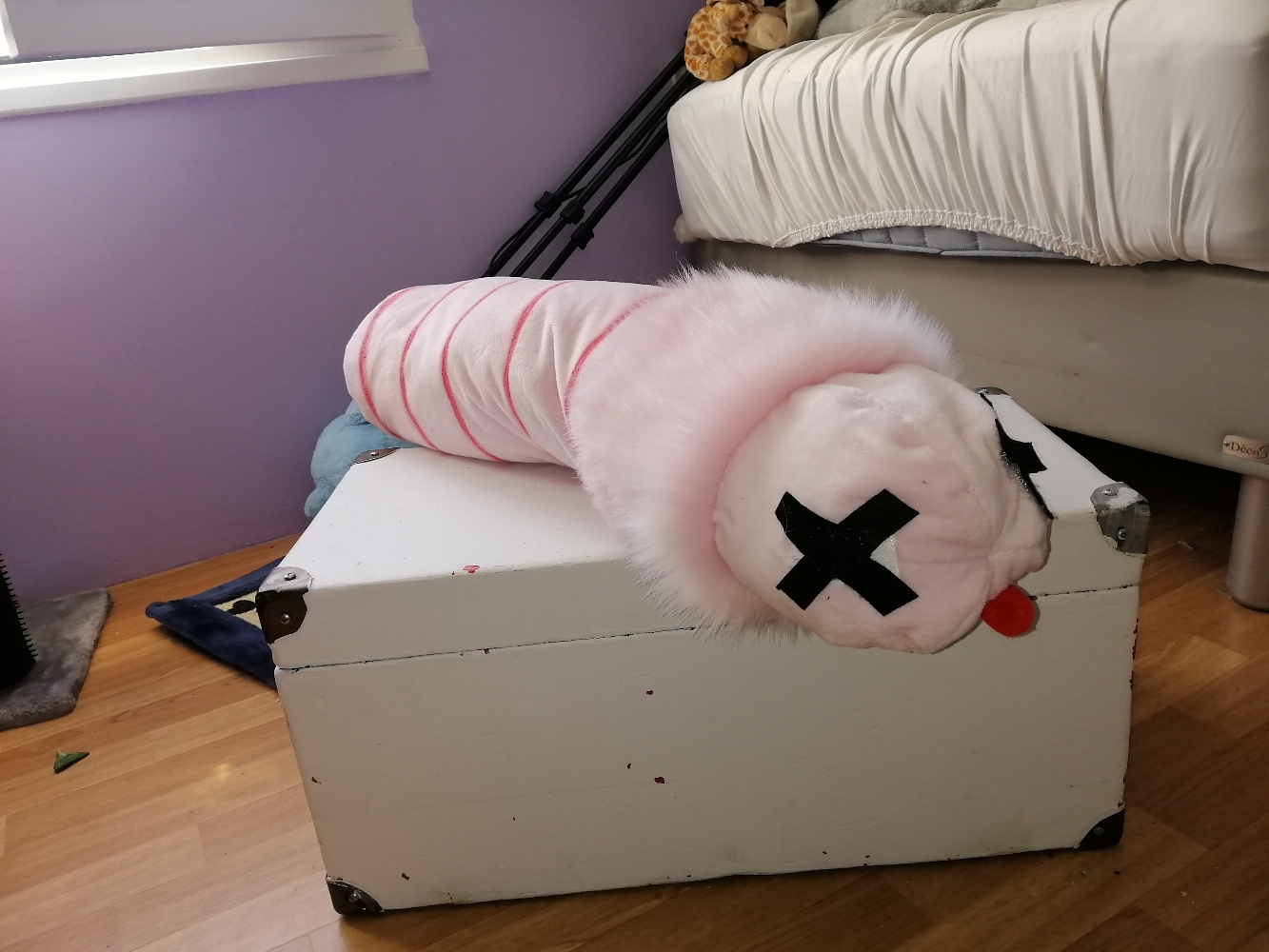 Stellar v2 - Photo 3