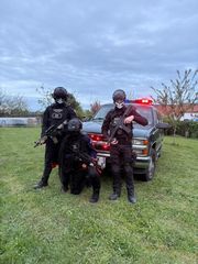 SCP preview 3