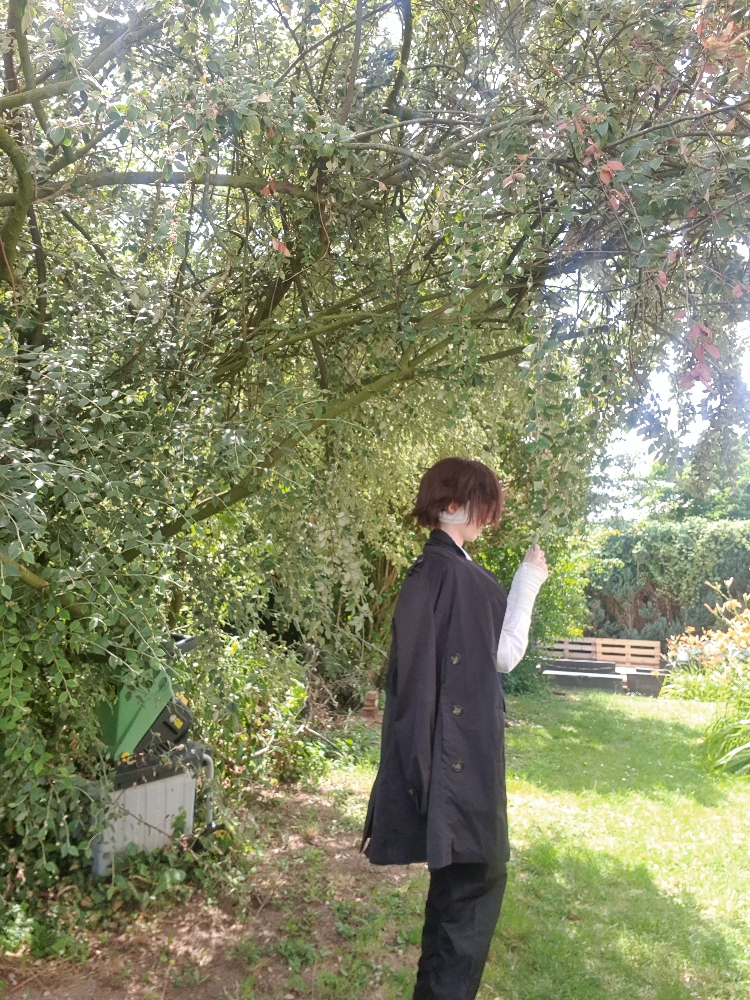 Dazai — photo 7