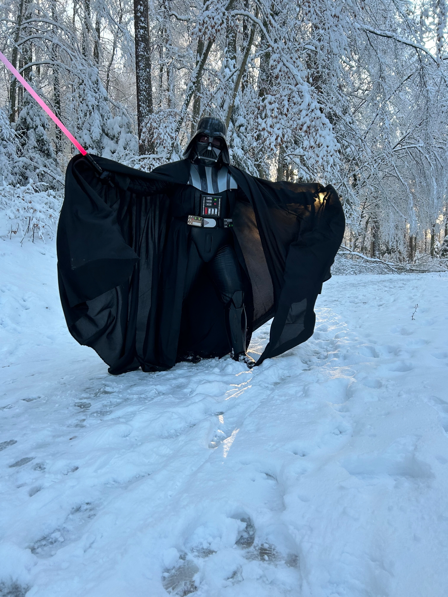Snow Vader — photo 5