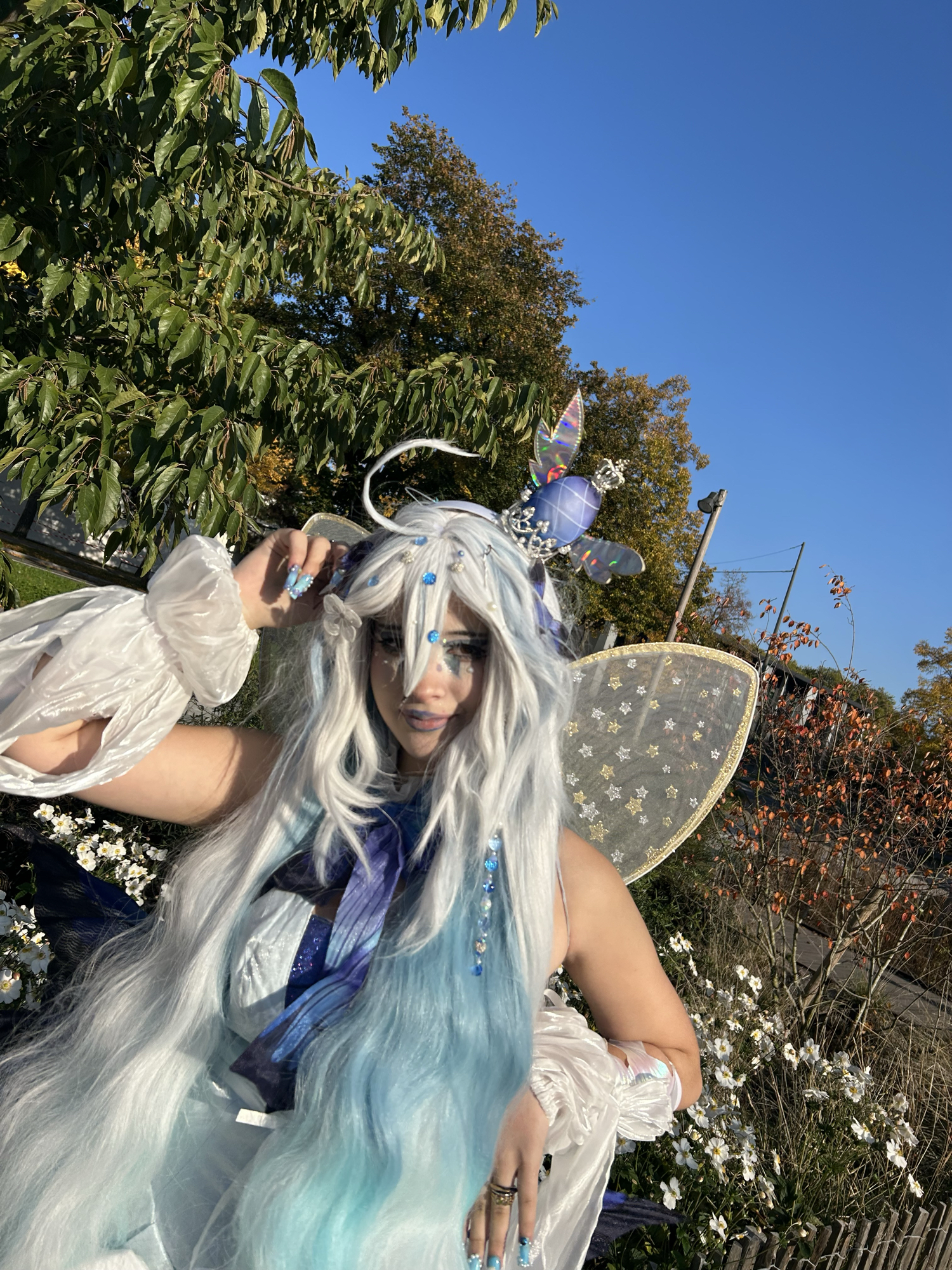 Miku butterfly — photo 5