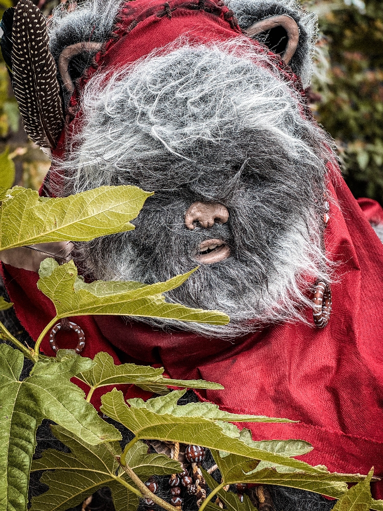 Un Ewok À Vitrolles - Photo 8