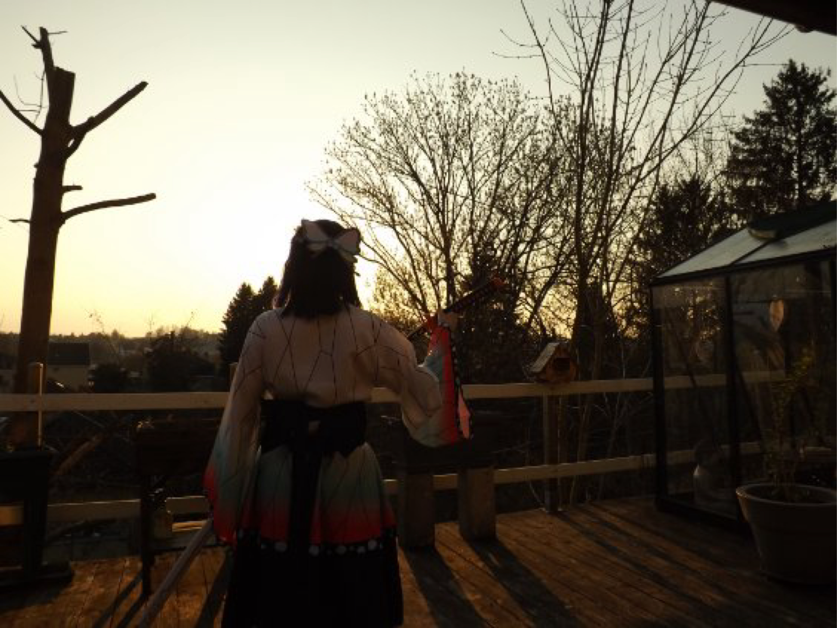 Shinobu kocho — photo 16