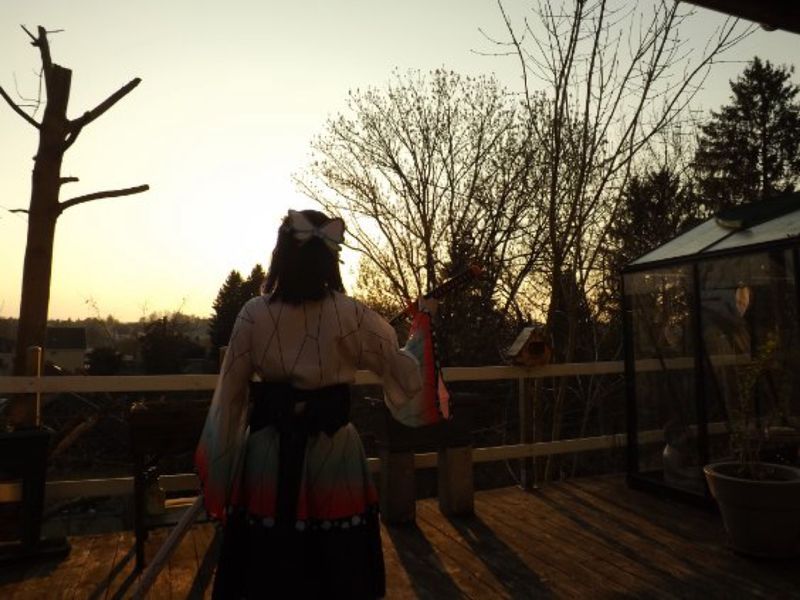 Anel_.cos - Shinobu kocho 