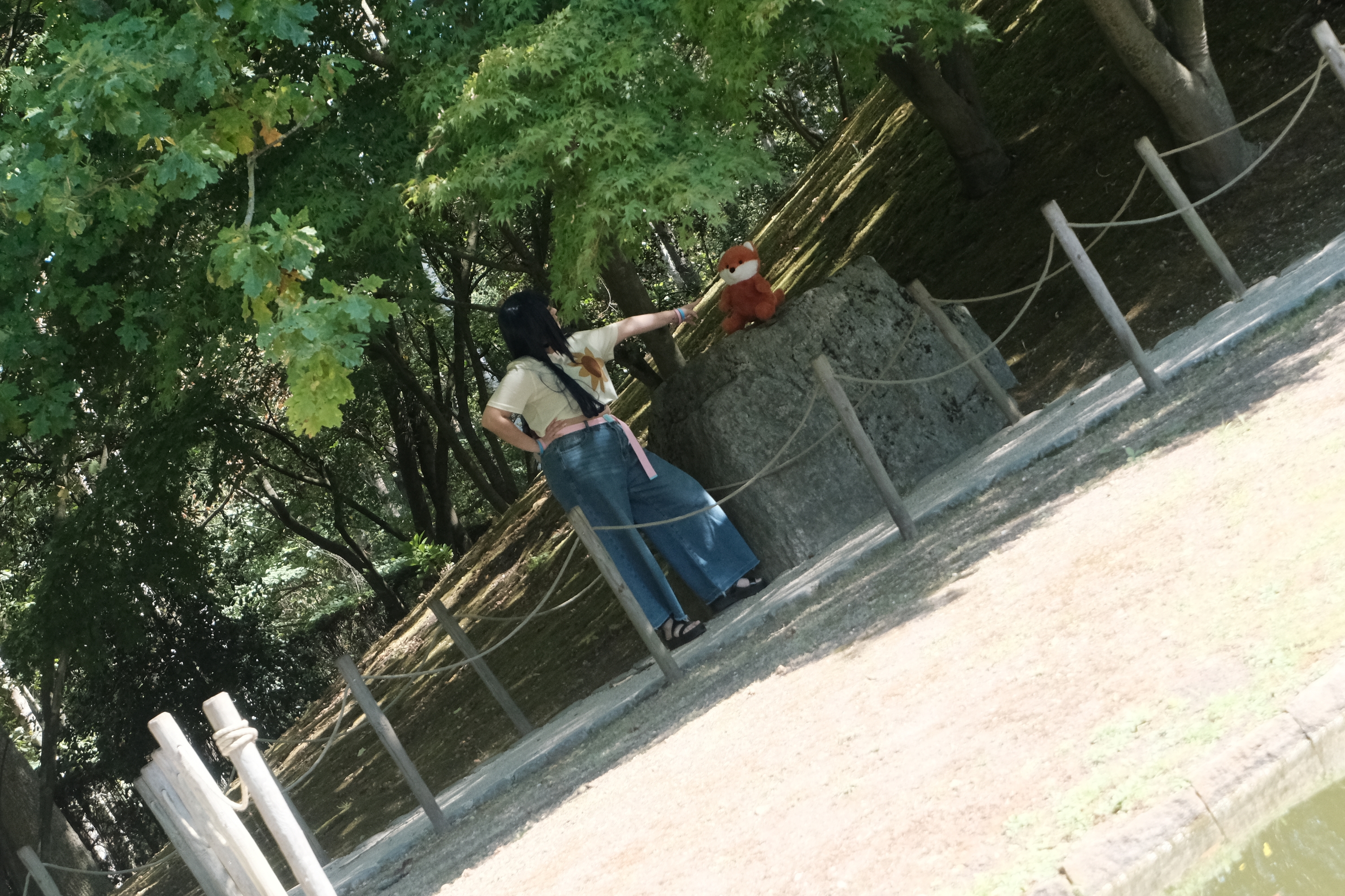 Himawari  - Photo 44