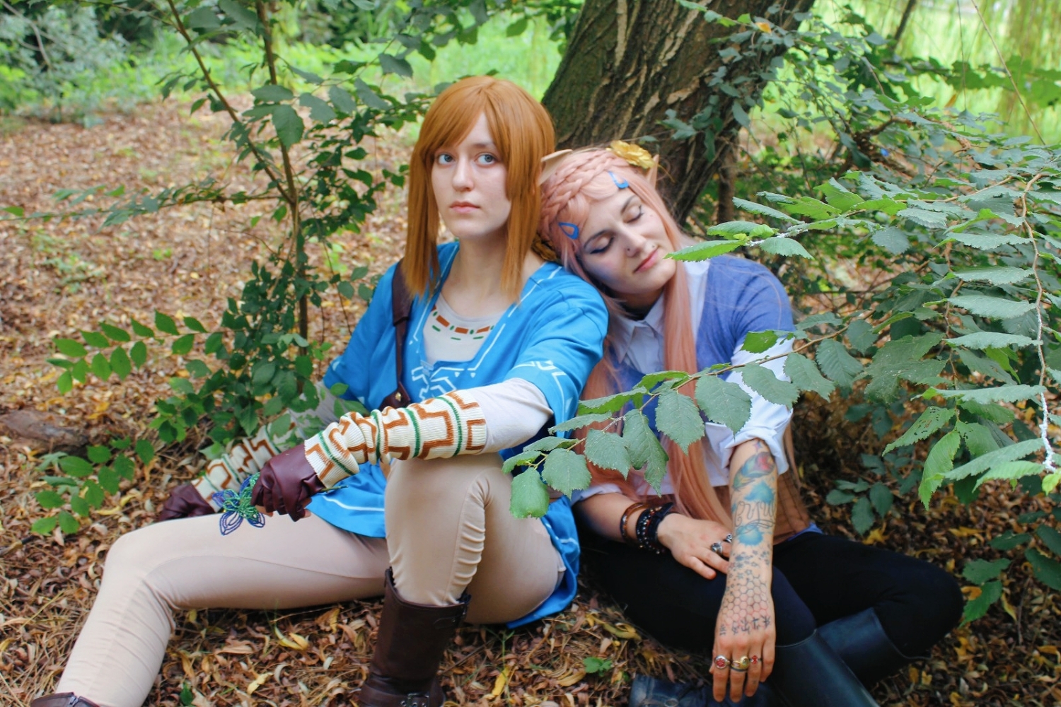 Link (Botw) - Photo 4