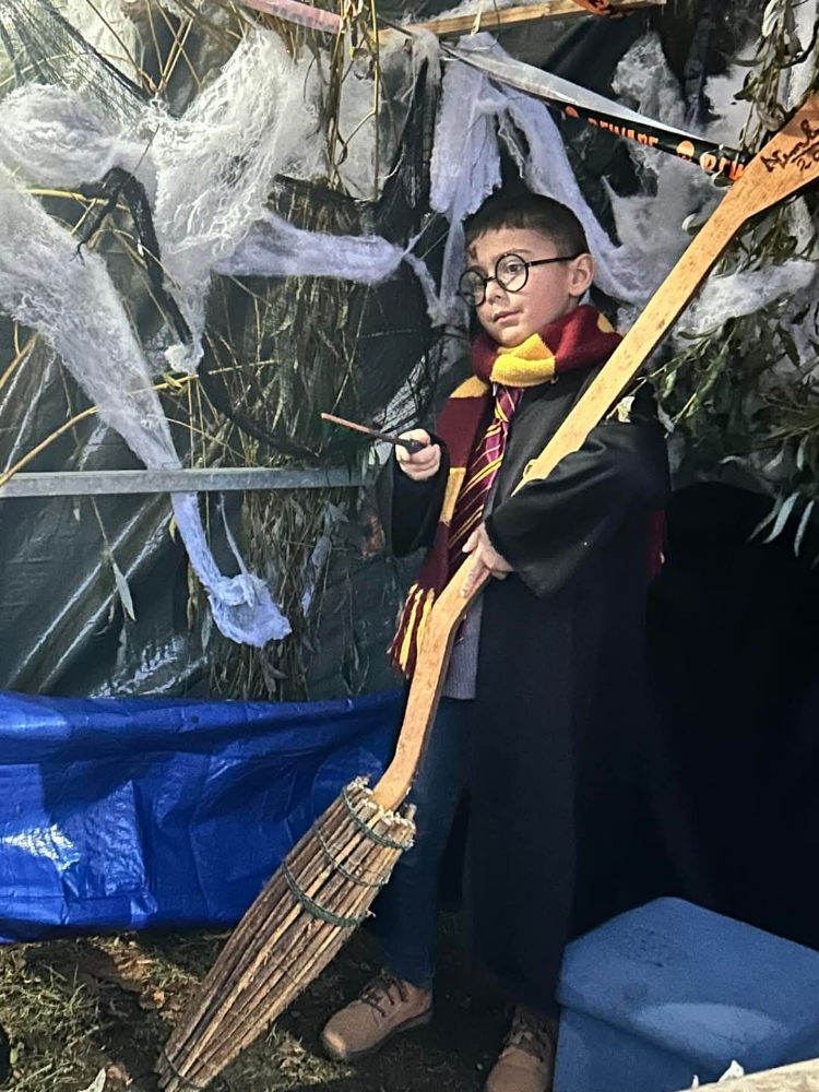Harry potter — photo 13