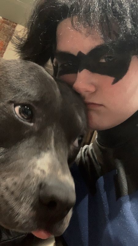 Cosmos_☆ – Nightwing