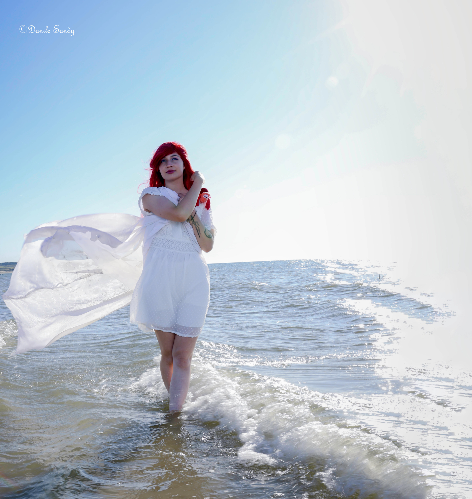 Ariel — photo 10