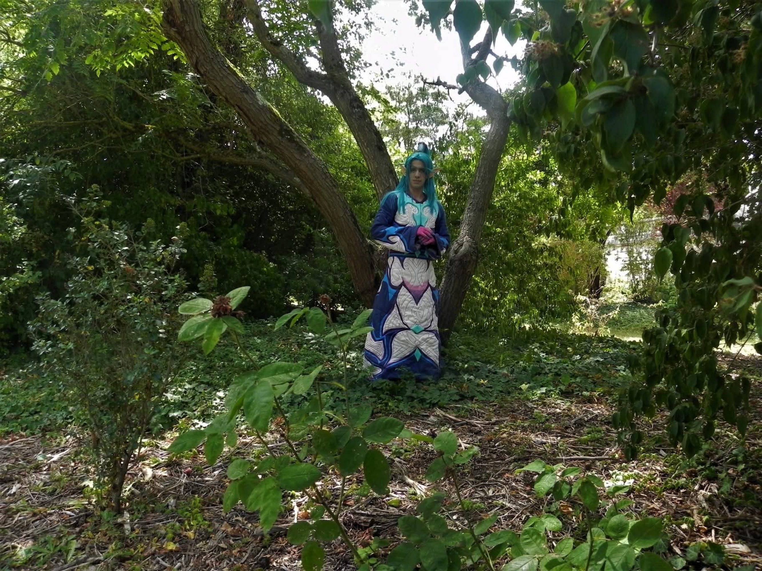 Malygos, photo 54