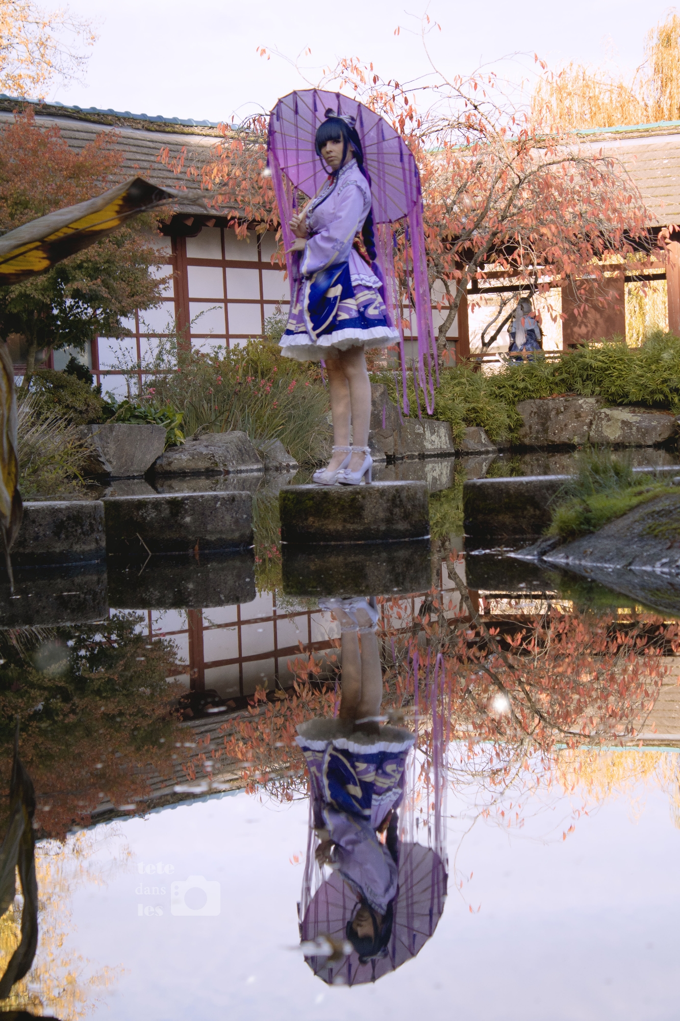 Raiden Shogun - Photo 6