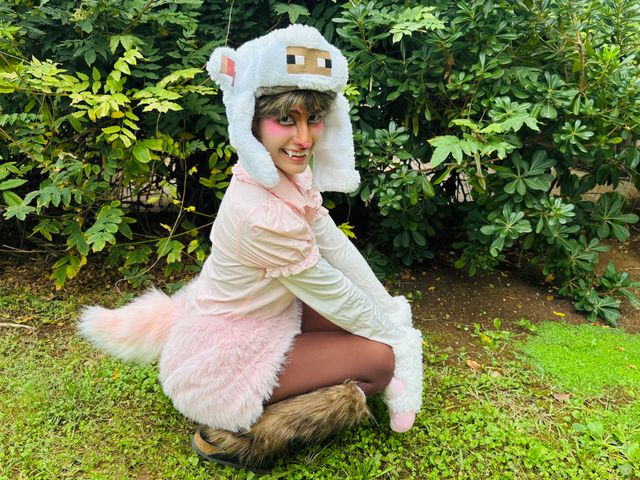 pink sheep