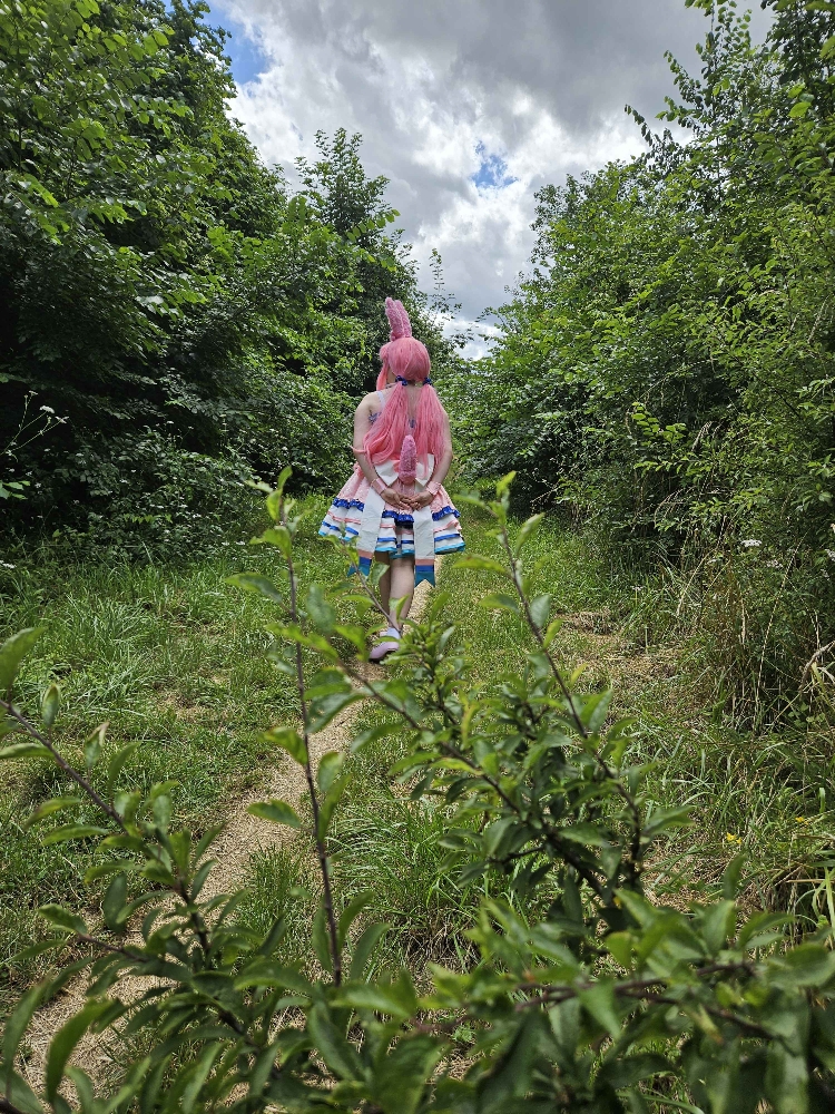 Nymphali forêt — photo 6