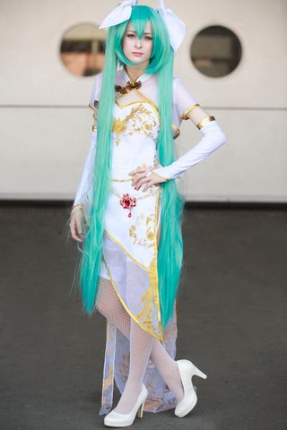 Miku chinese canary