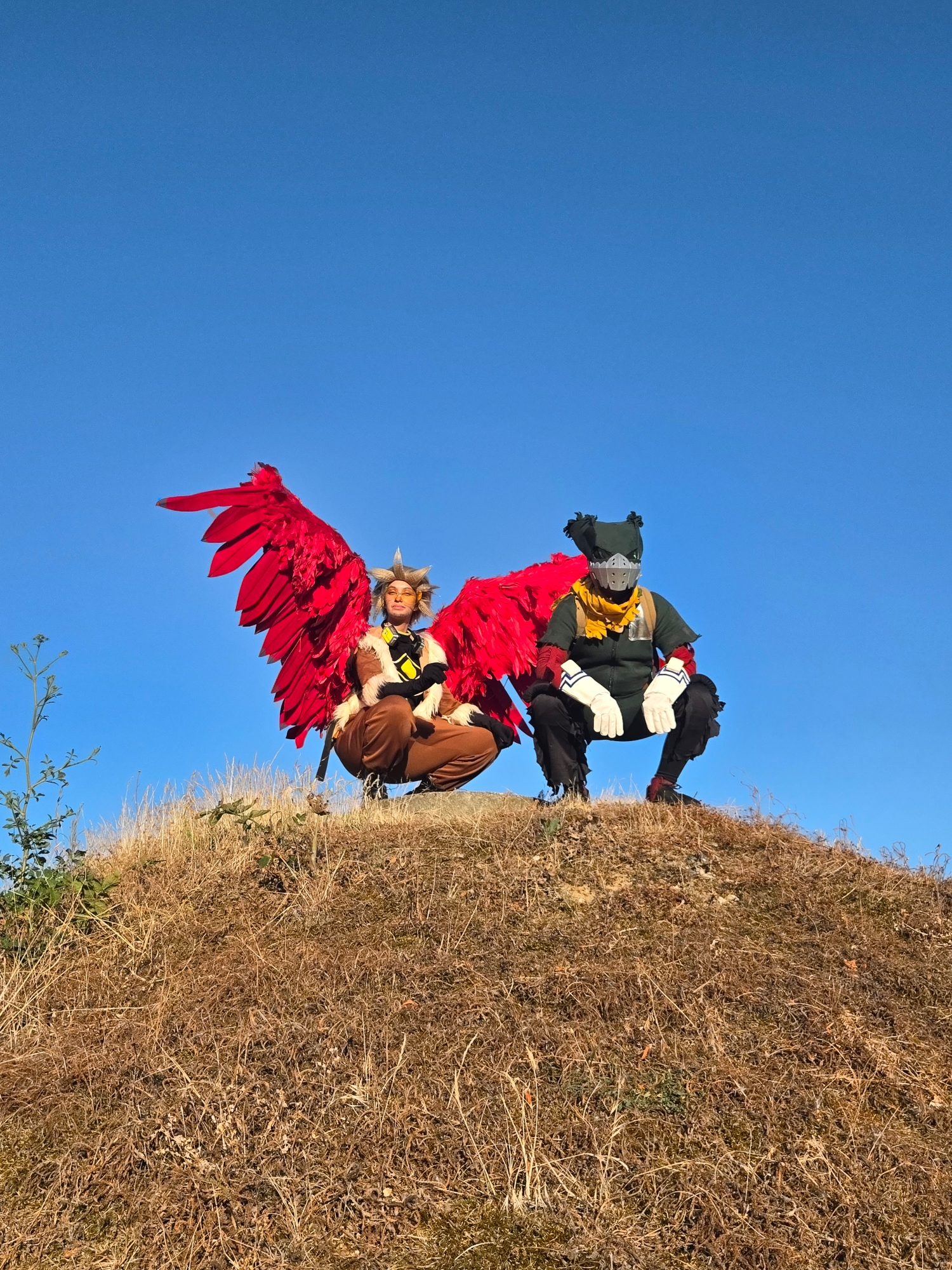 Hawks — photo 35