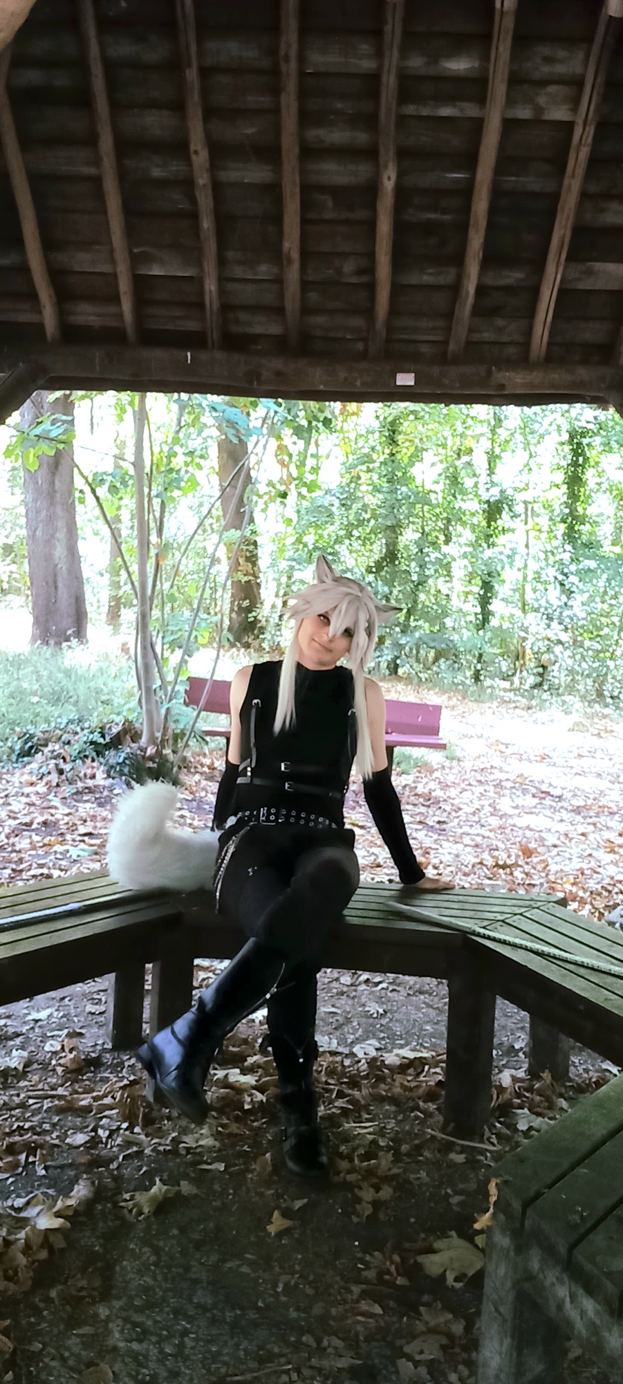 Lappland pique nique — photo 6