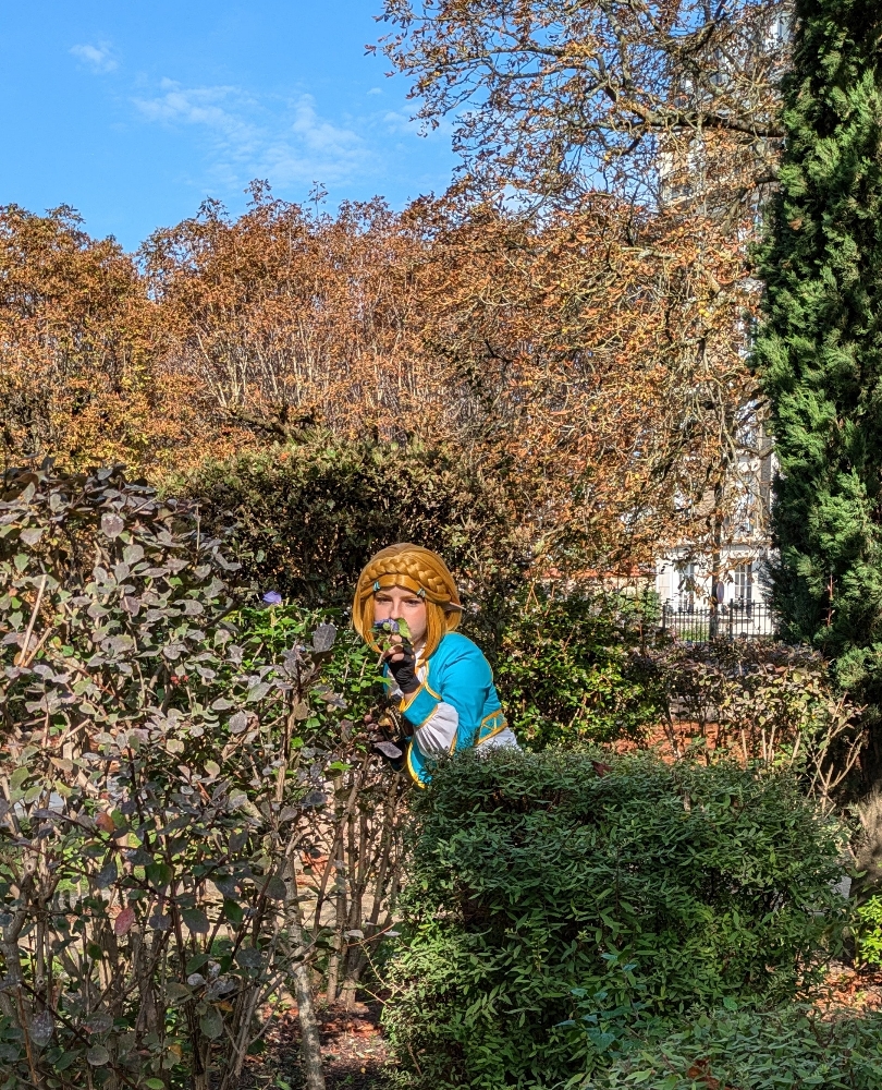 Zelda — photo 5