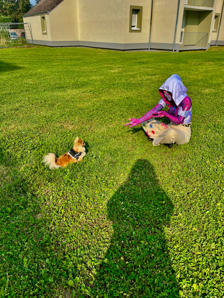 Spider butterfly  - Photo 24