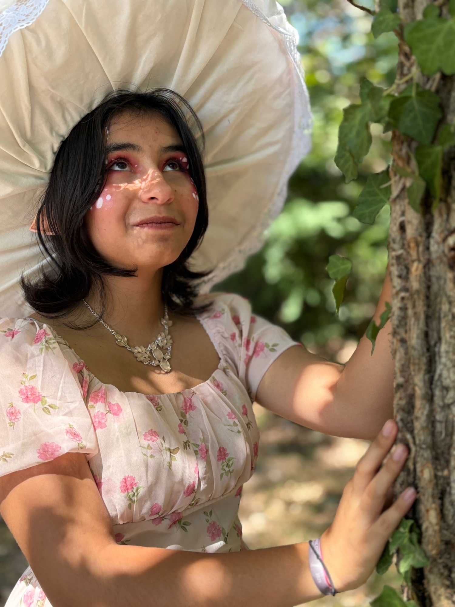 Champignon féerique  - Photo 8