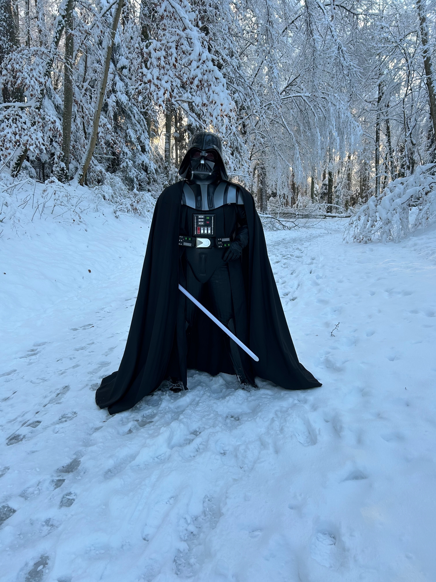 Snow Vader — photo 46