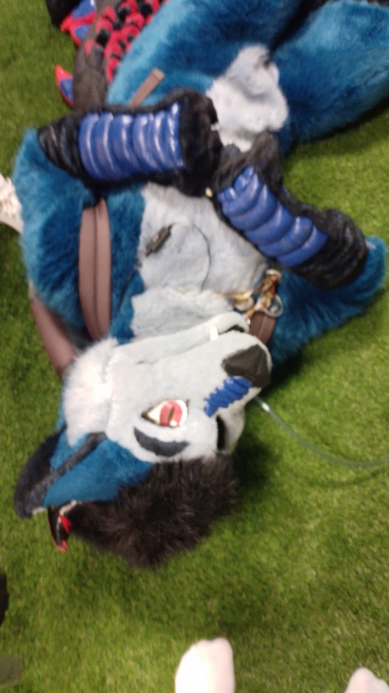 Hashtag festival - Photo 3