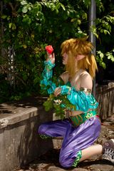 Link gerudo preview 3