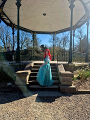 Ariel preview 2