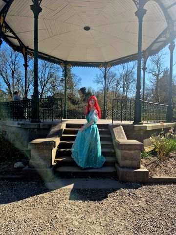 Ariel