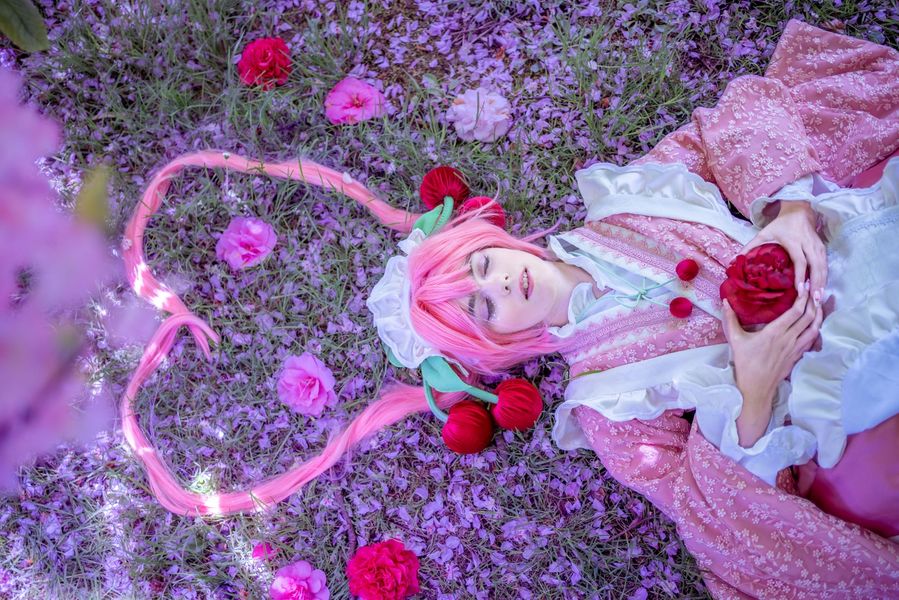 Himea_ - Sakura Miku -Hanami-