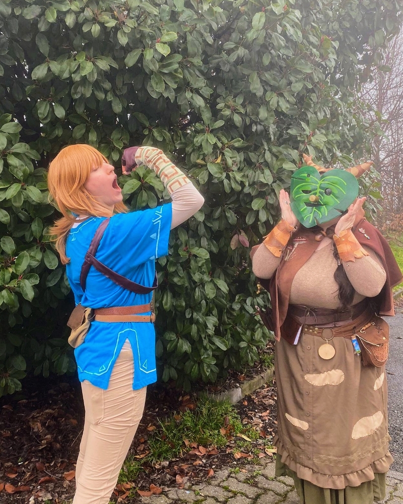 Link (Botw) — photo 7