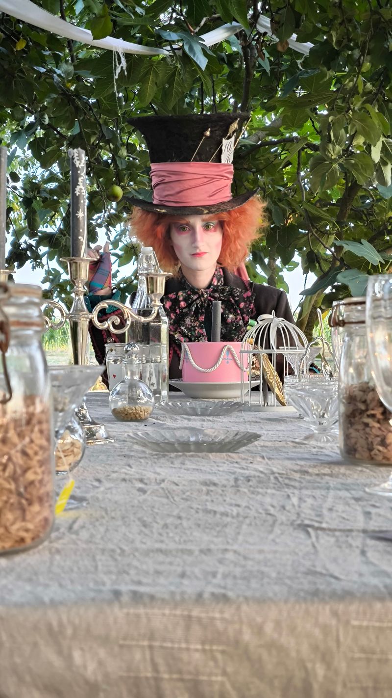 Unicycle_universe – Chapelier/Cheshire