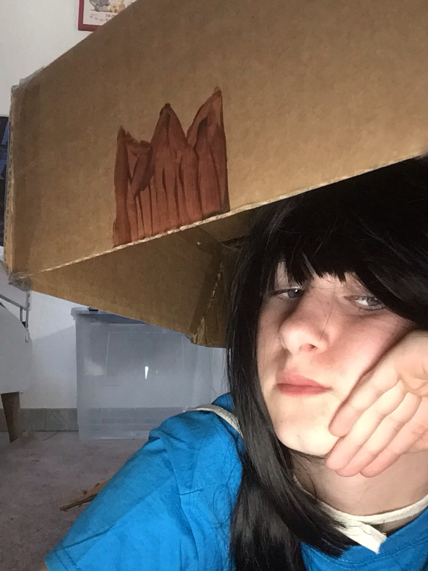 Finx — photo 12