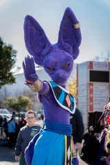 Beerus preview 2