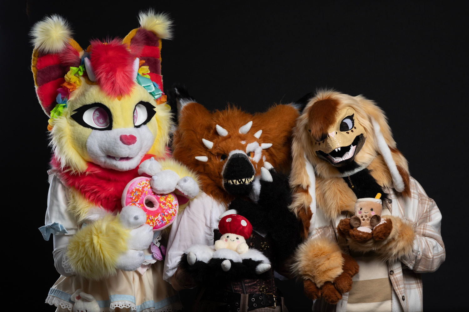 Photos Tapioca - Photo 27