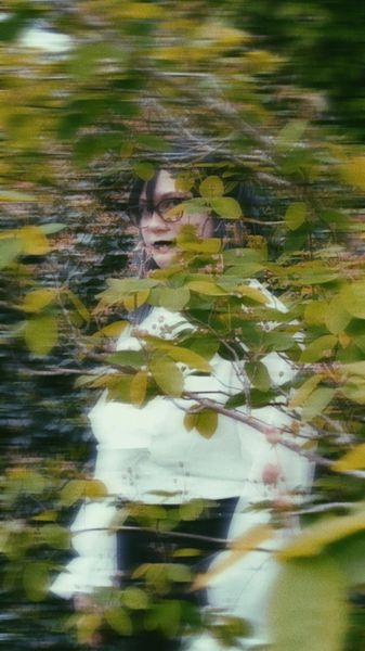 Softi - Akutagawa
