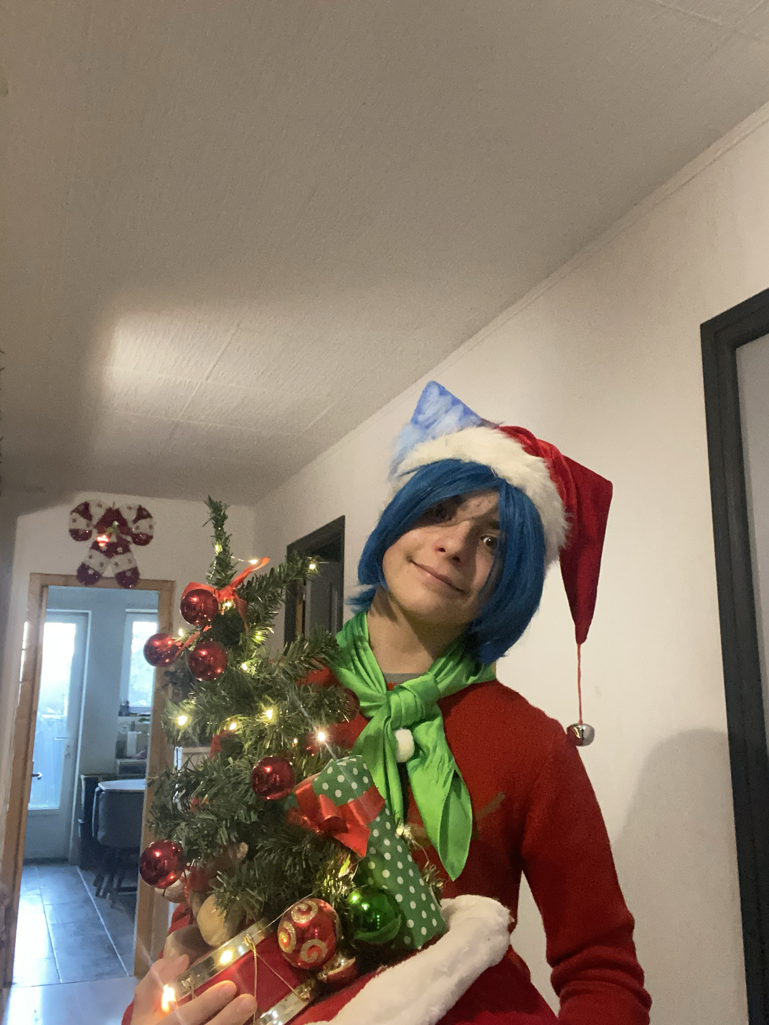 Happy noel, photo 8