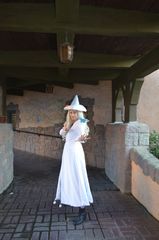Elsa sorciere preview 3