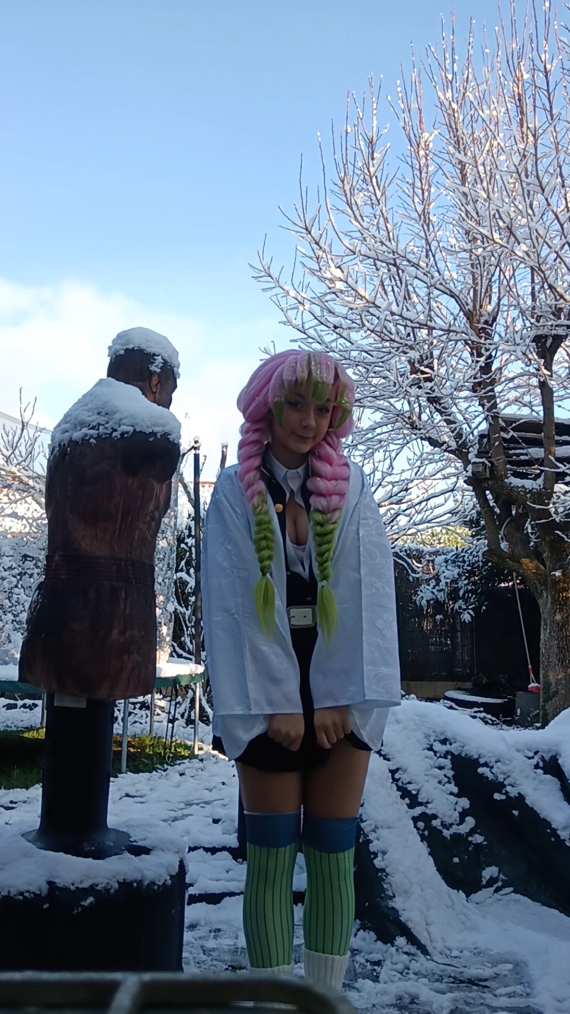 Mitsuri Kanroji - Photo 8