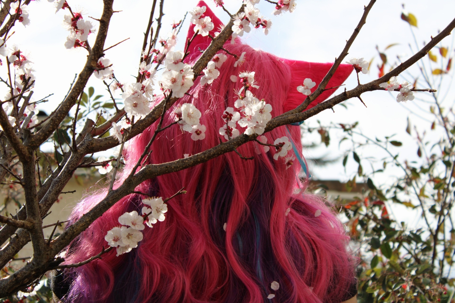 Ahri spirit blossom — photo 7