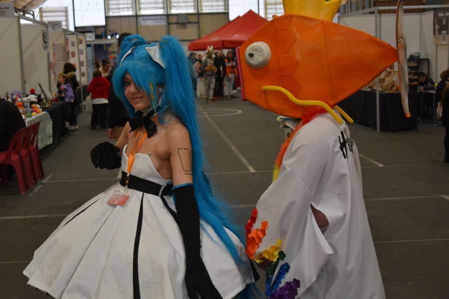 Phoenixas - Japan Chateauroux 1